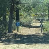 Review photo of Walt Haring Sno-Park & Campground by Skyeriver  ., August 16, 2020