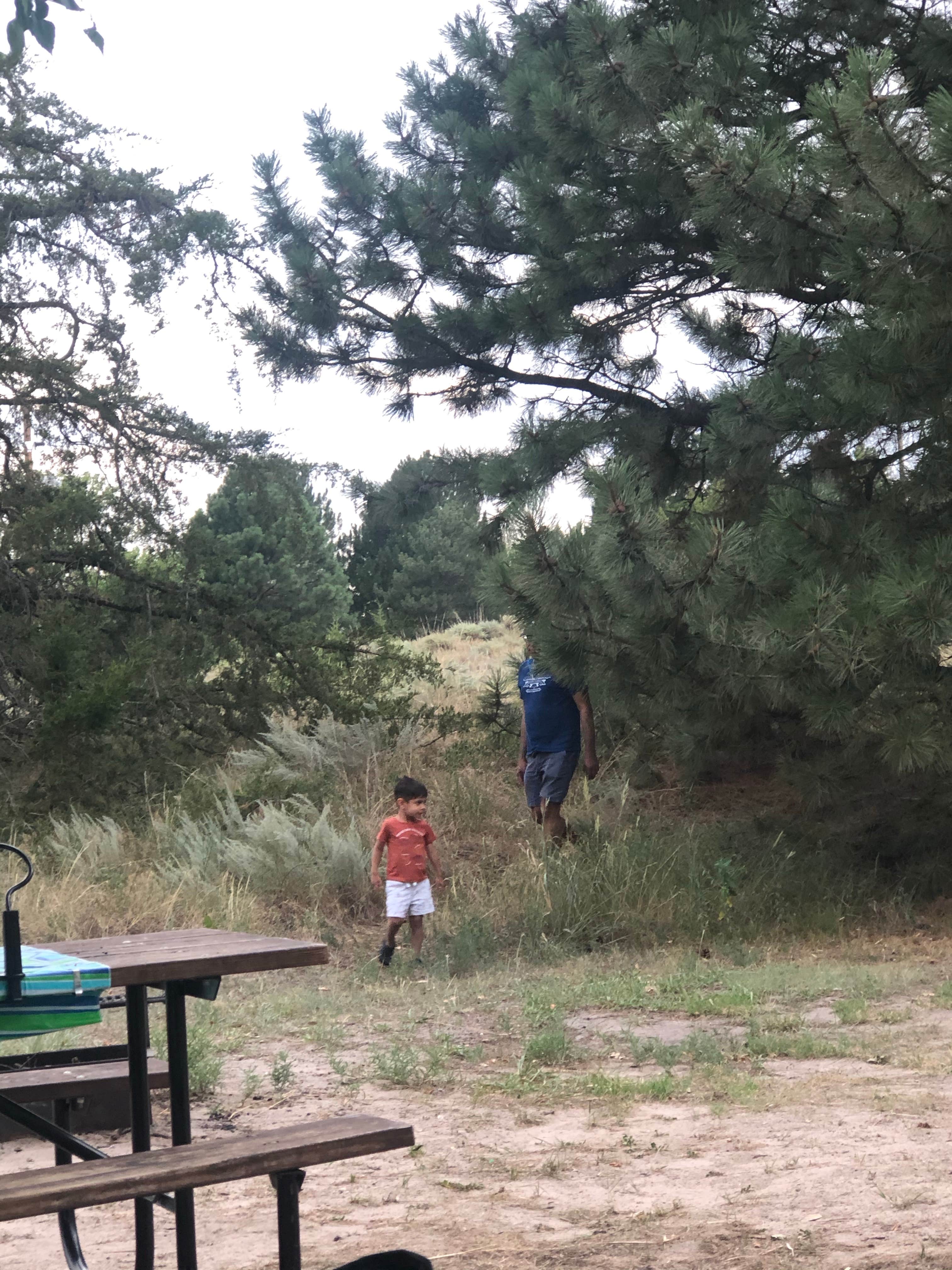 Camper-submitted photo at Cedar View Campground — Lake McConaughy near Ogallala, NE