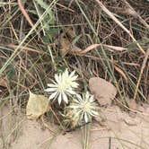 Review photo of Lake Mcconauhgy Cedar Vue Campground by Kim & HSB B., August 16, 2020