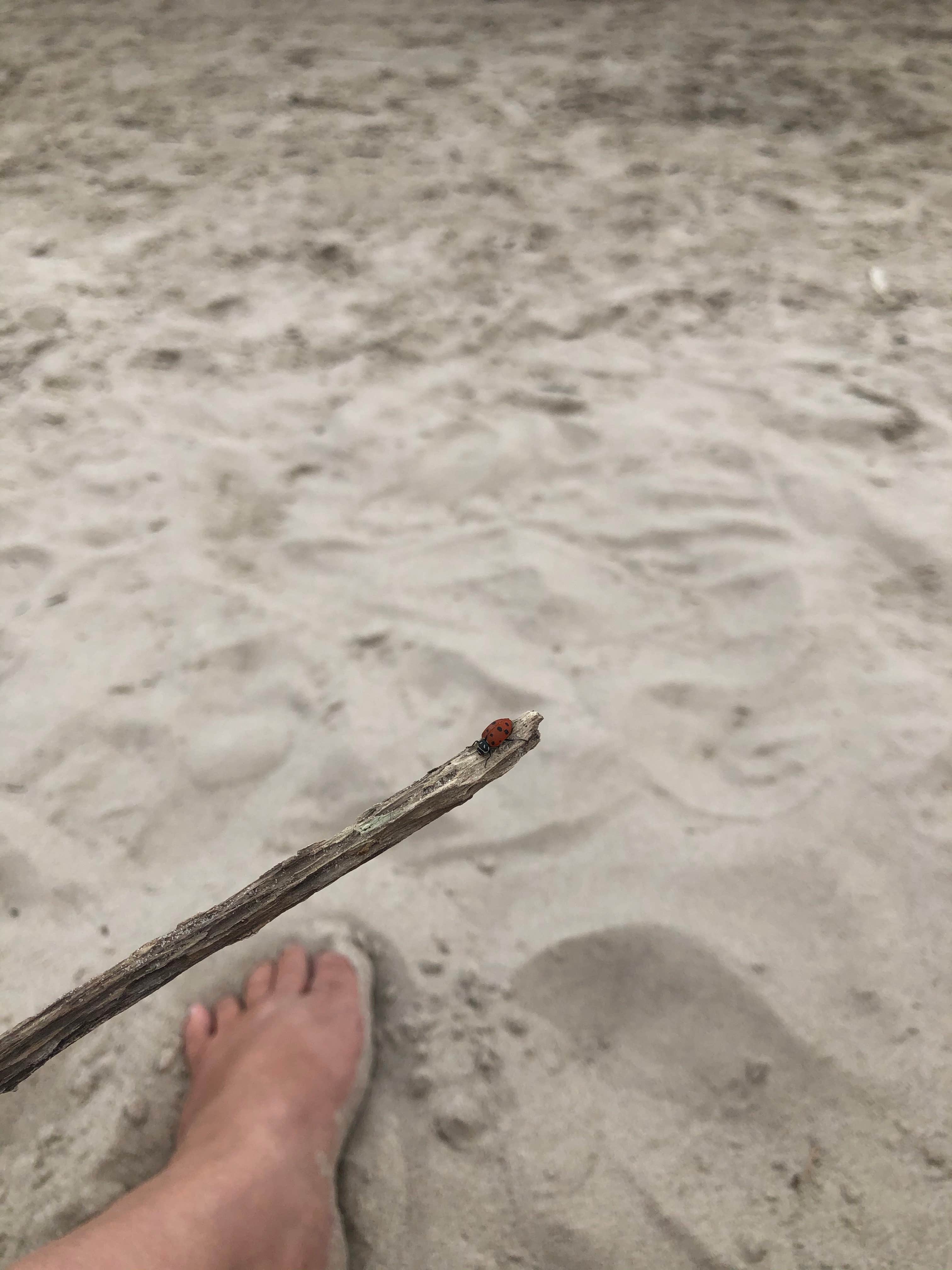 Camper-submitted photo at Cedar View Campground — Lake McConaughy near Lewellen, NE