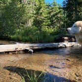 Review photo of Badger Lake Campground by Lisa K., August 16, 2020