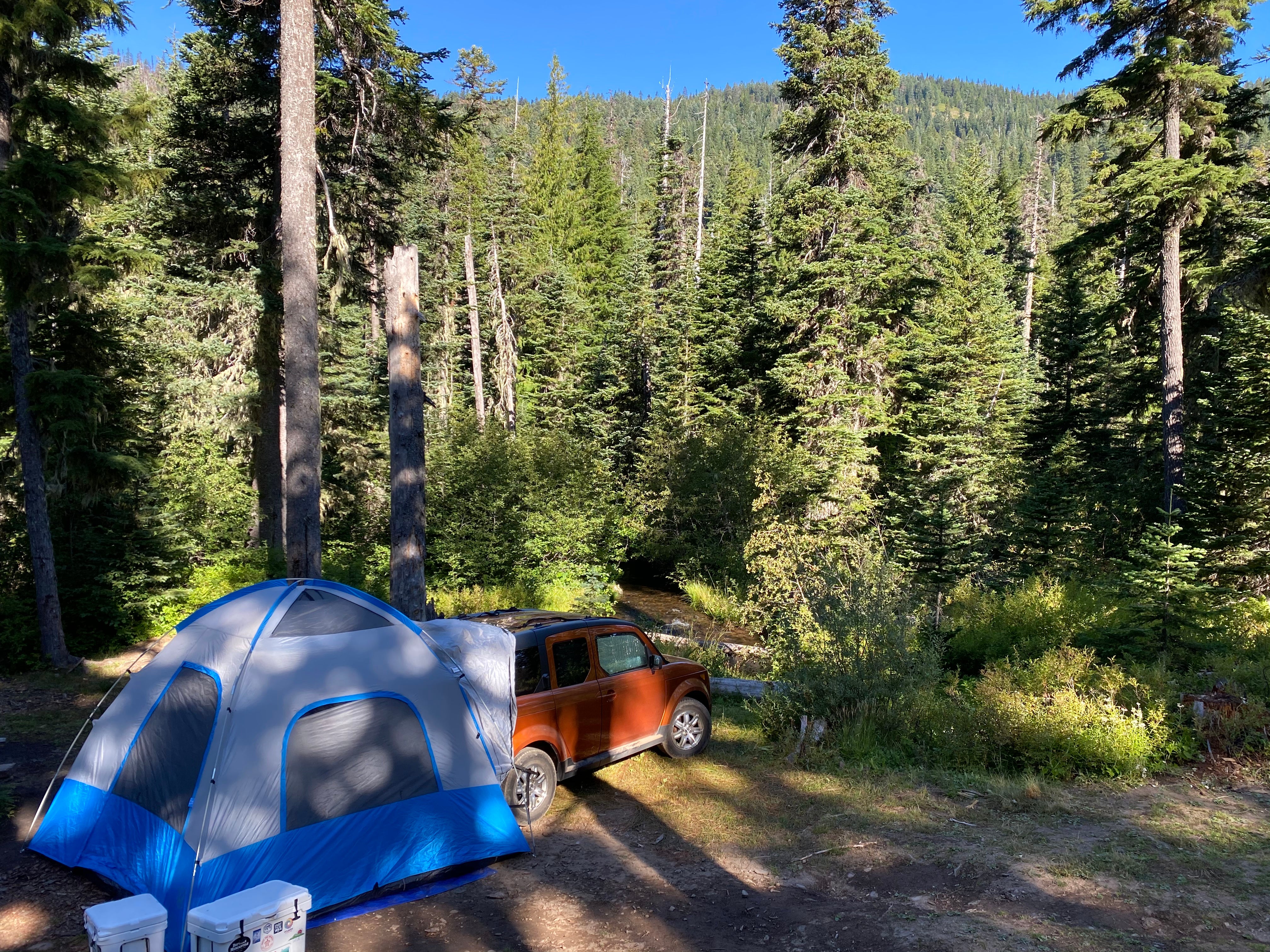 Camper submitted image from Badger Lake Campground - 2