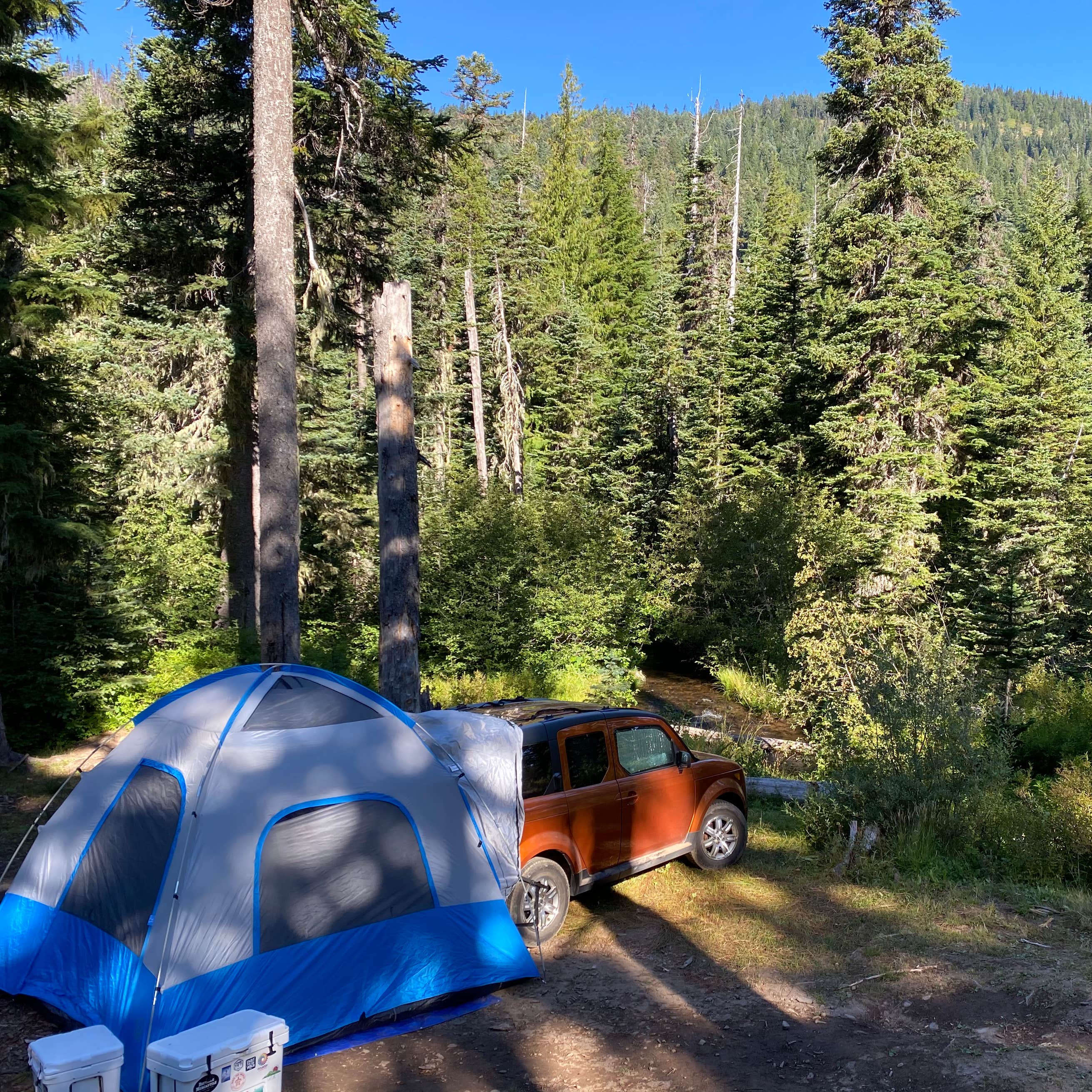 Badger Lake Campground Camping | The Dyrt