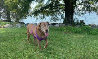 Jacilyn B.'s photo of camping with pets at Eastbank near Cairo, GA