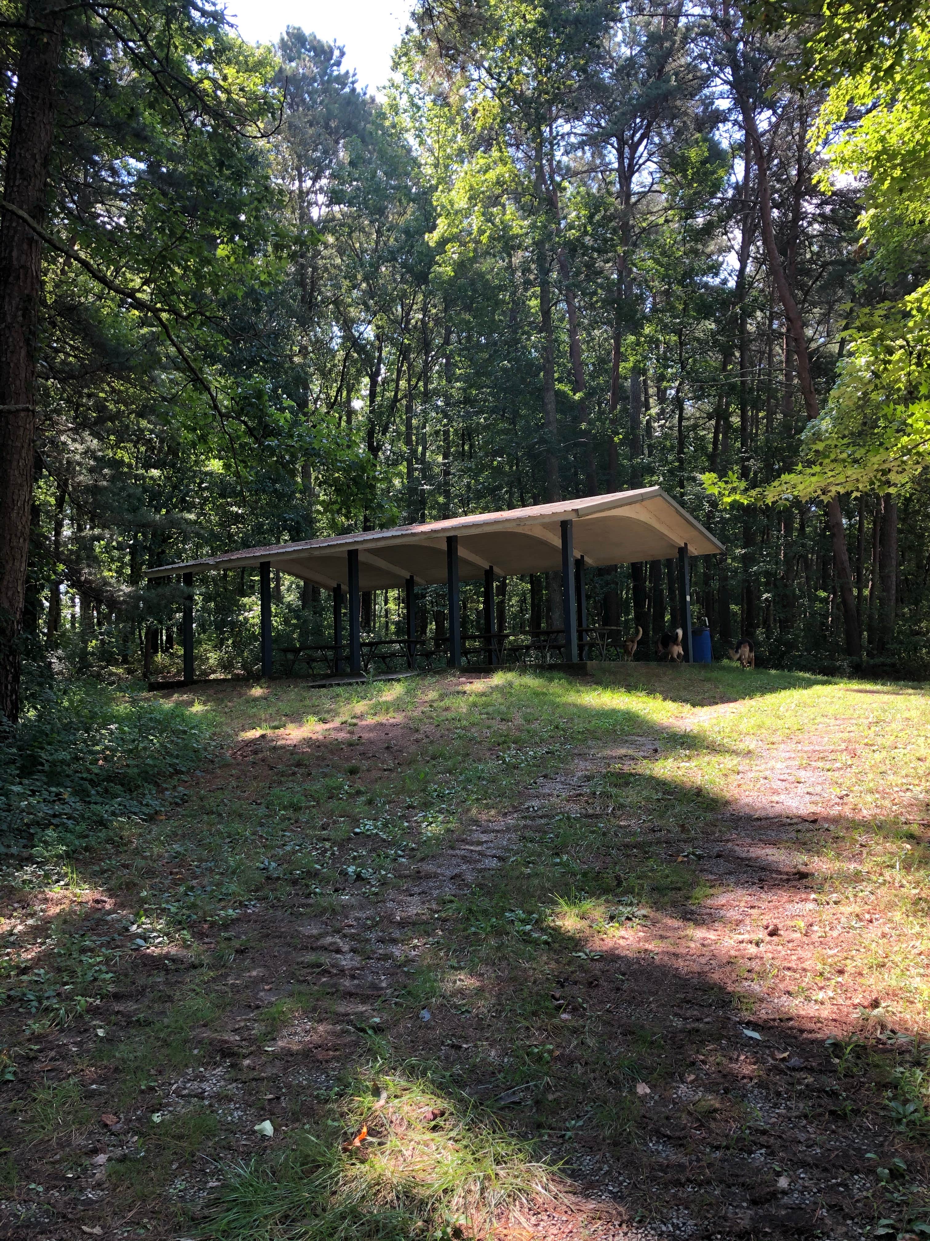 Camper submitted image from Dekalb County Public Lake - 3