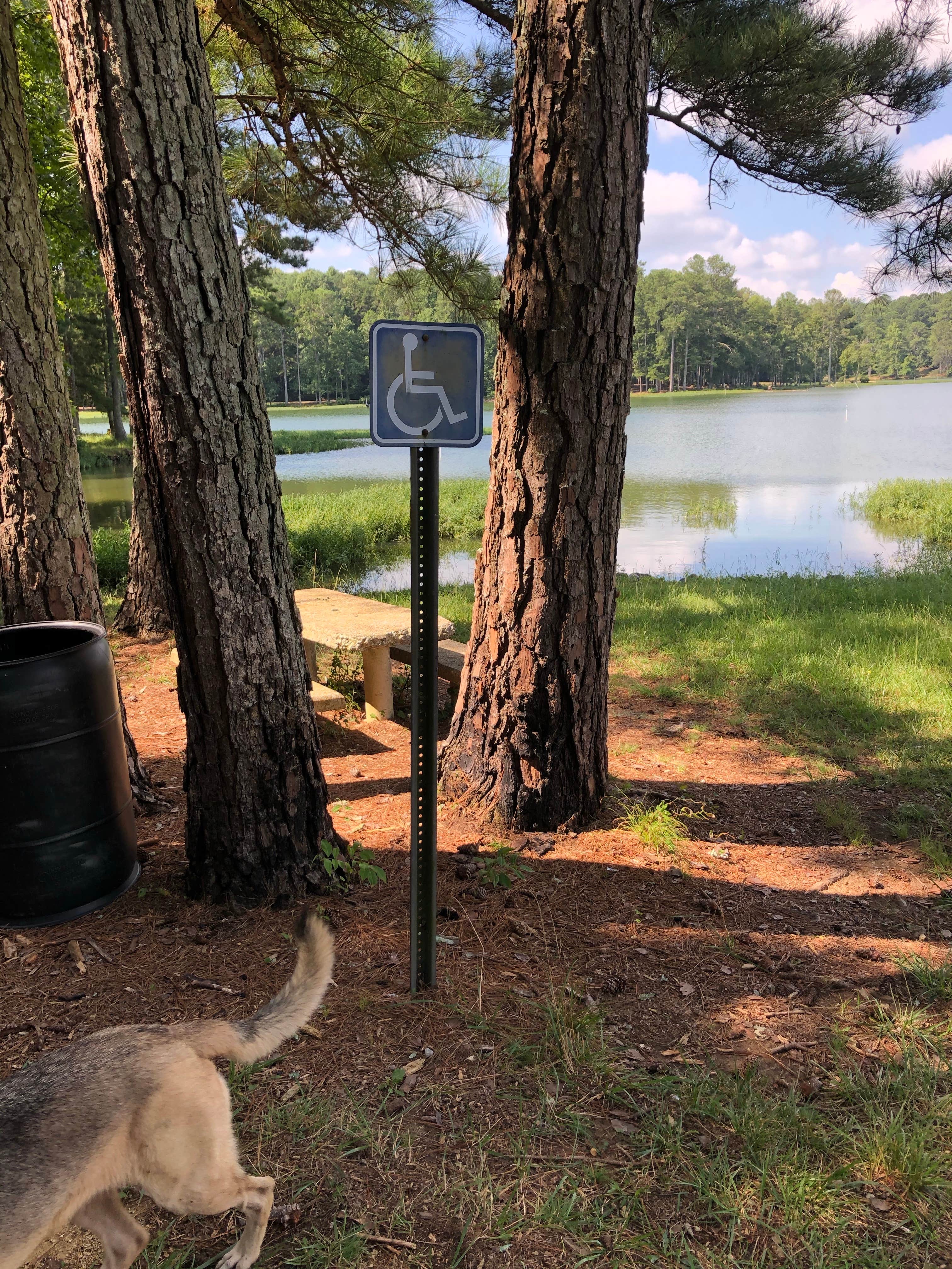 Nic S.'s photo of camping with pets at Dekalb County Public Lake near New Hope, AL