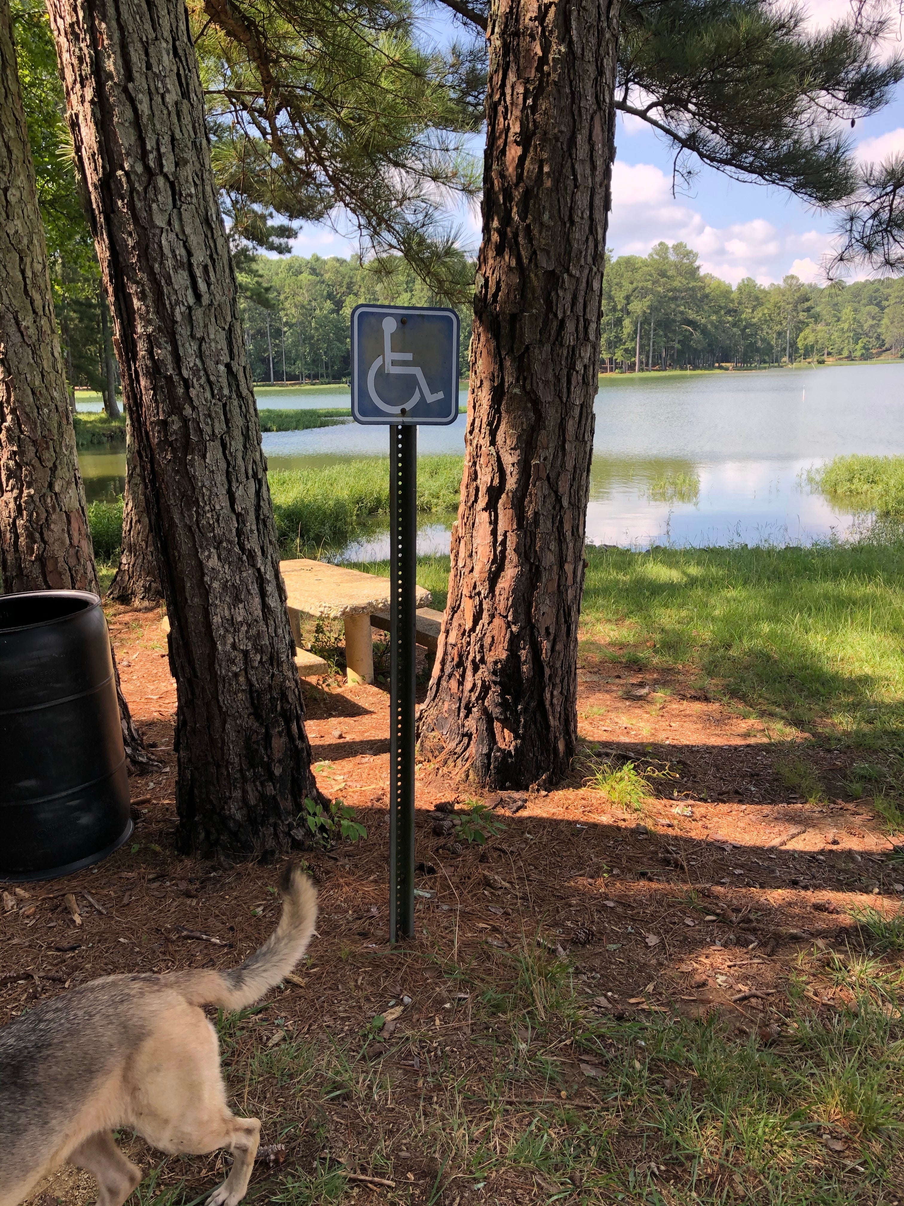 Camper submitted image from Dekalb County Public Lake - 3