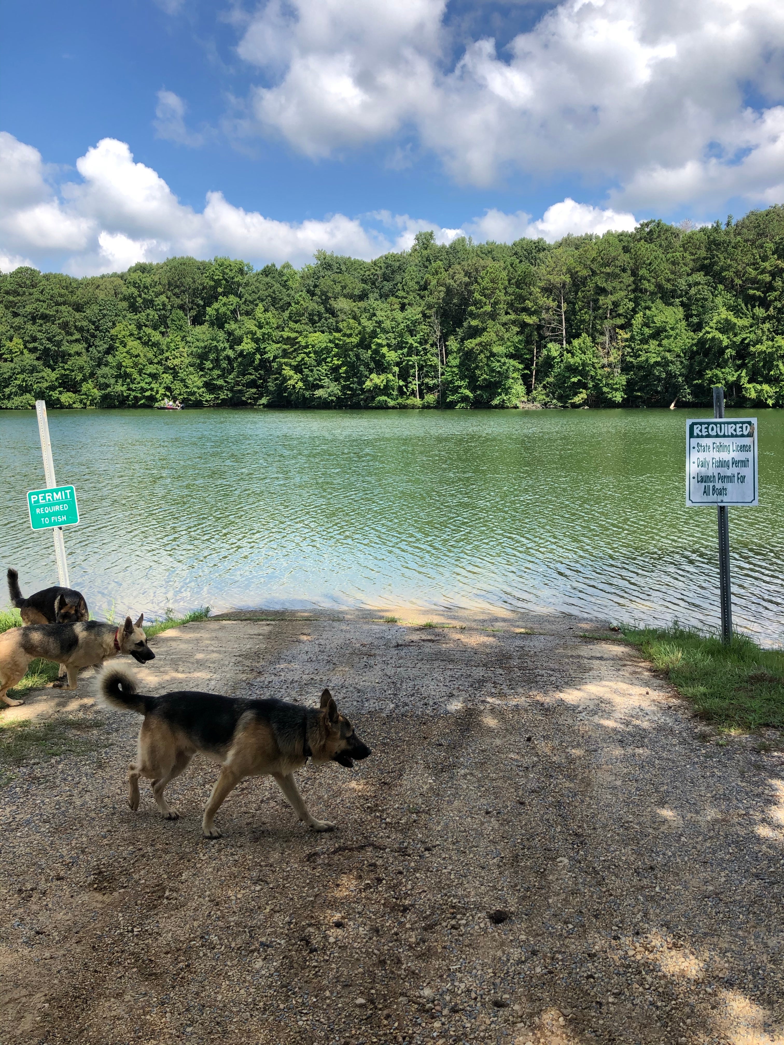 Camper submitted image from Dekalb County Public Lake - 4
