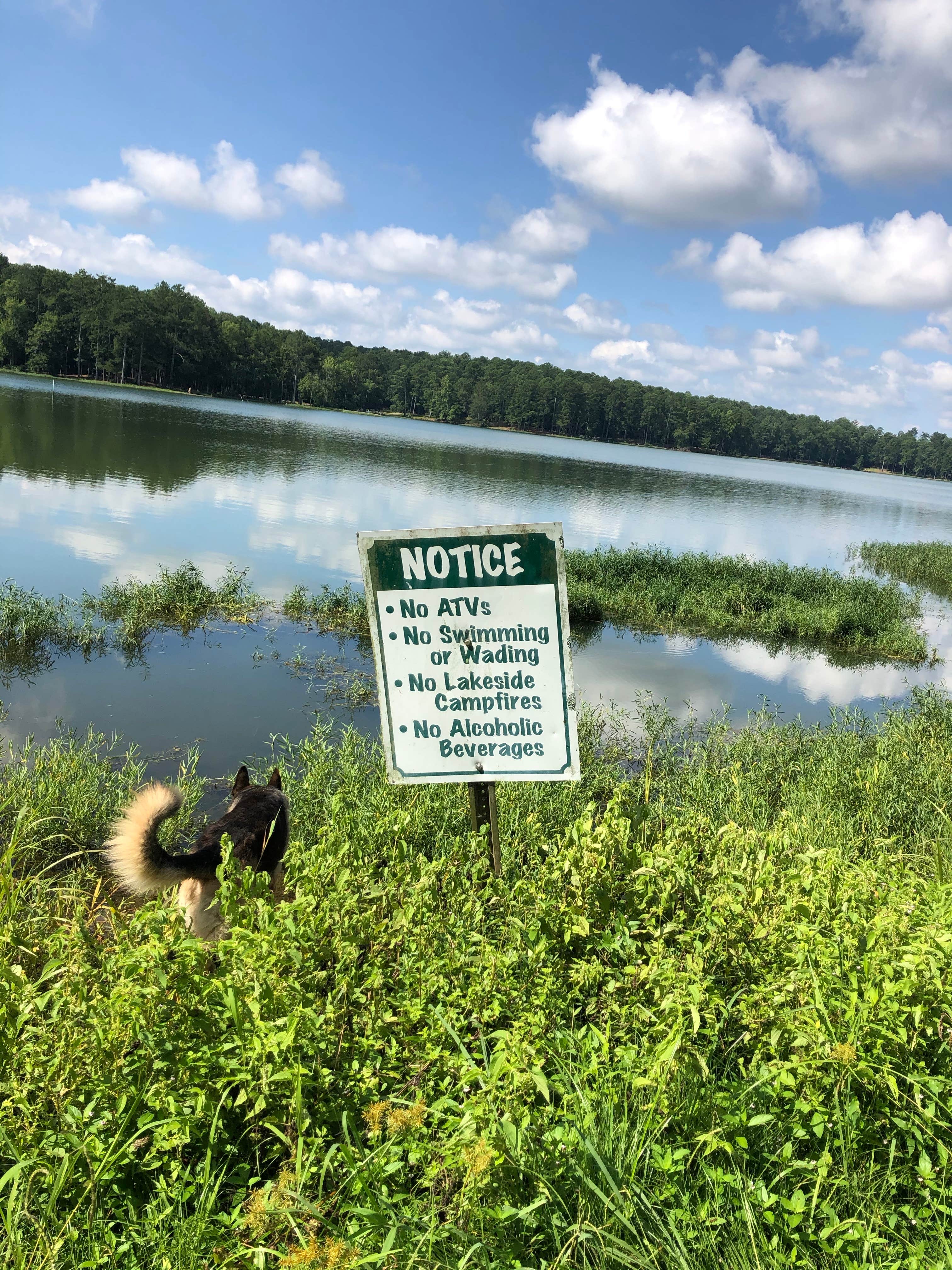 Camper-submitted photo at Dekalb County Public Lake near Pisgah, AL