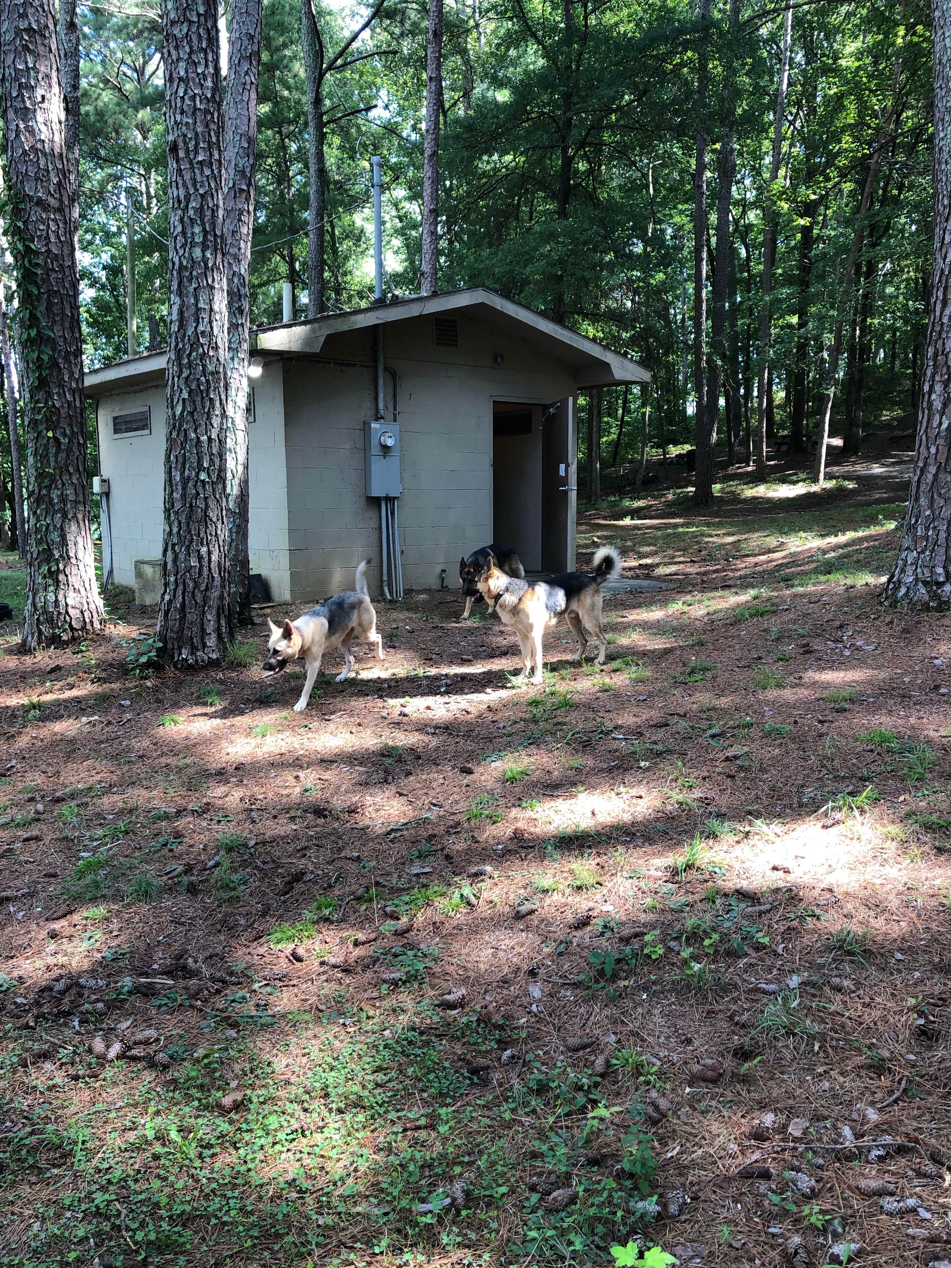Camper-submitted photo at Dekalb County Public Lake near Pisgah, AL