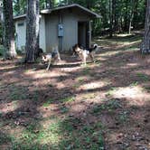 Review photo of Dekalb County Public Lake by Nic S., August 16, 2020