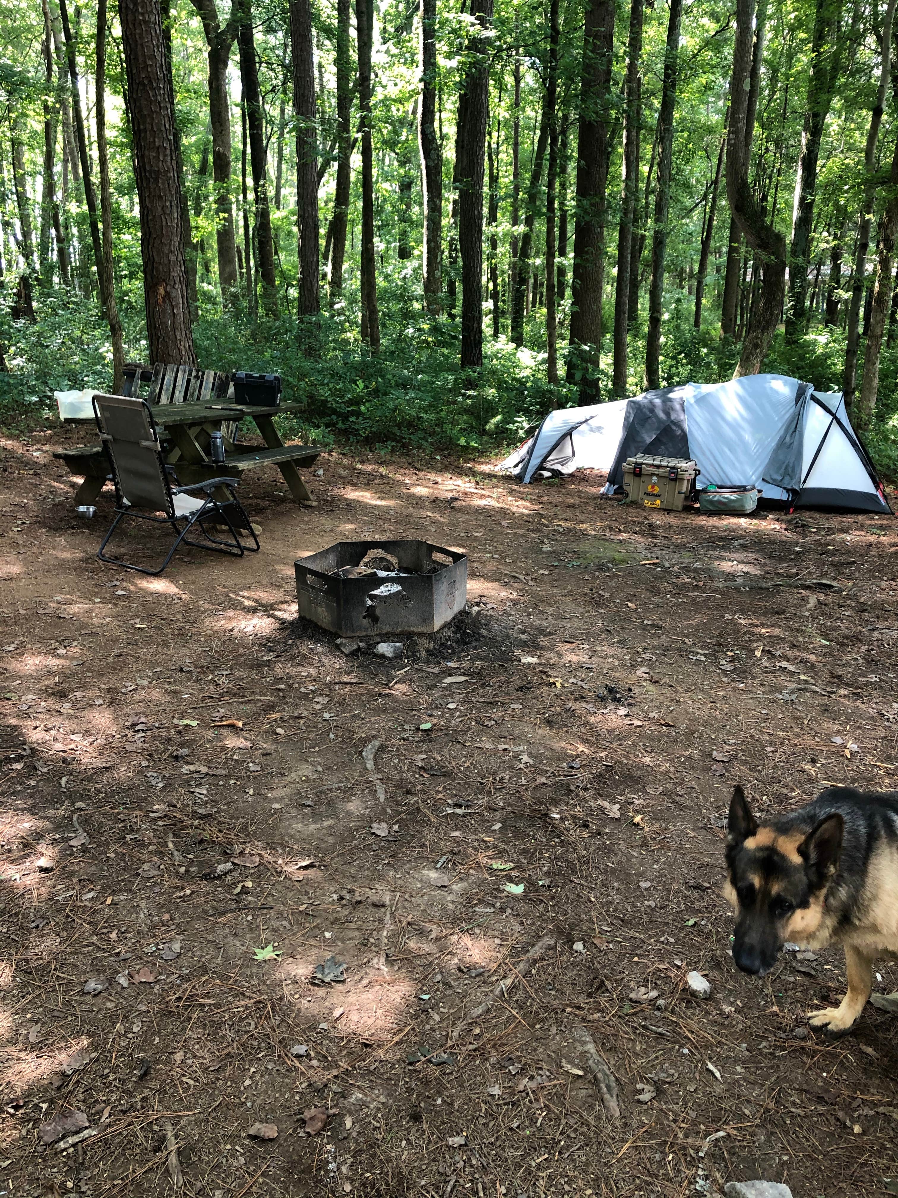 Nic S.'s photo at Dekalb County Public Lake near Fort Payne, AL