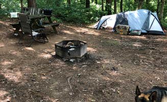 Nic S.'s photo at Dekalb County Public Lake near Collinsville, AL