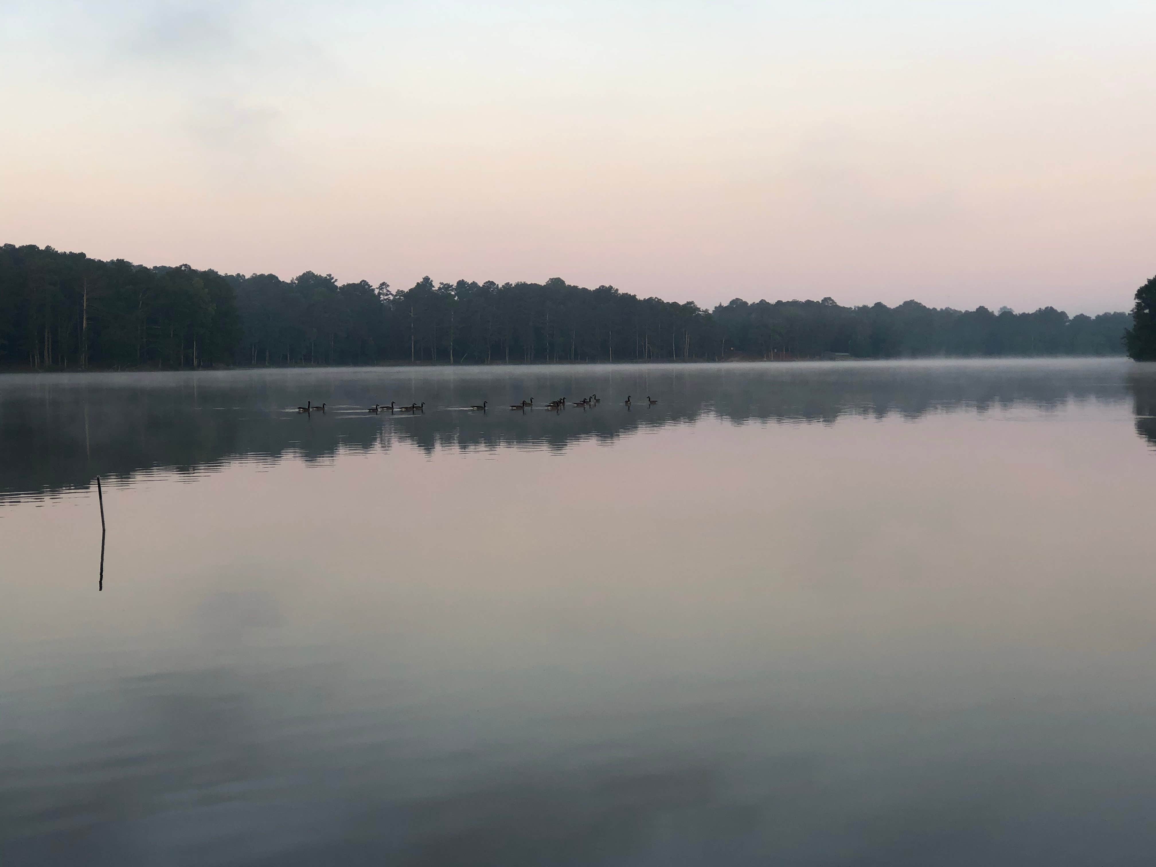 Camper-submitted photo at Dekalb County Public Lake near Pisgah, AL