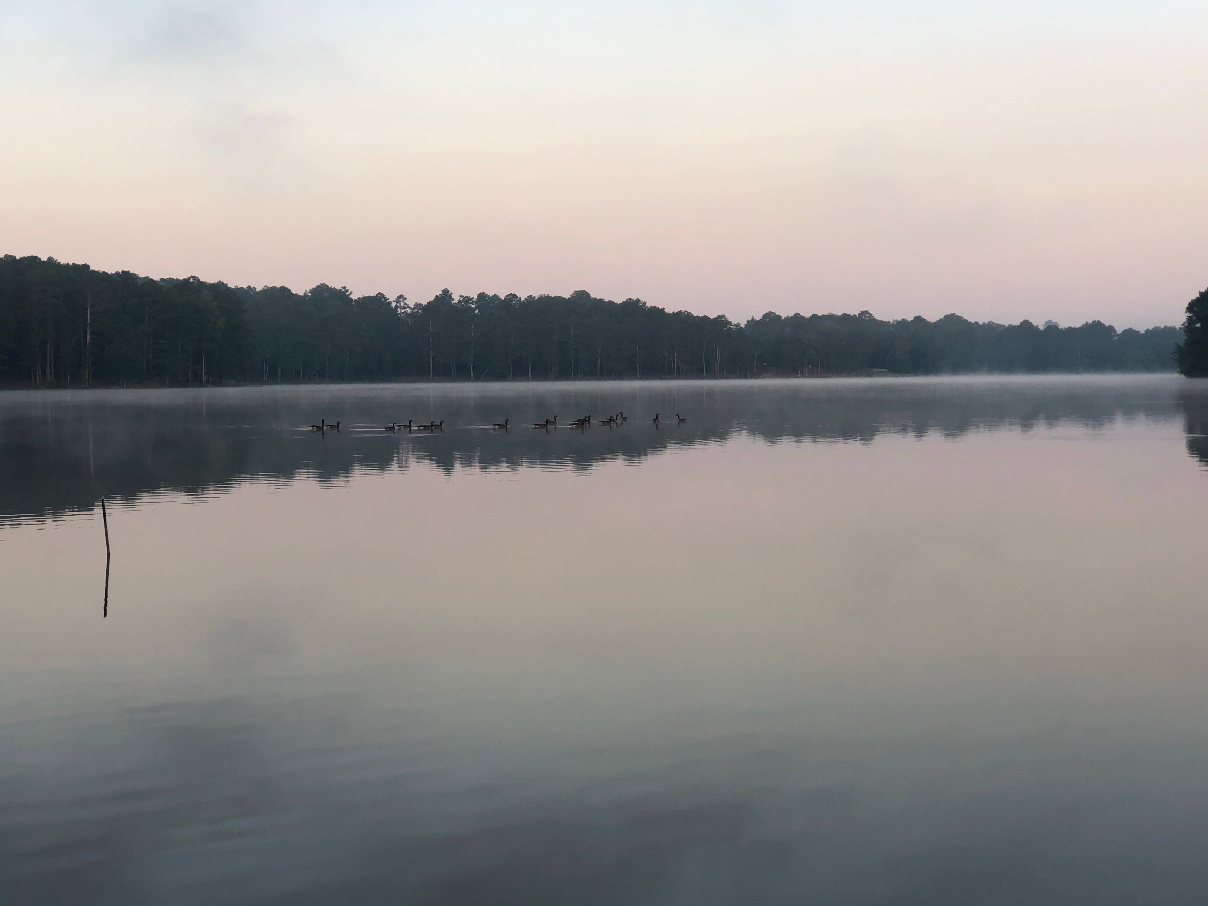 Camper submitted image from Dekalb County Public Lake - 1