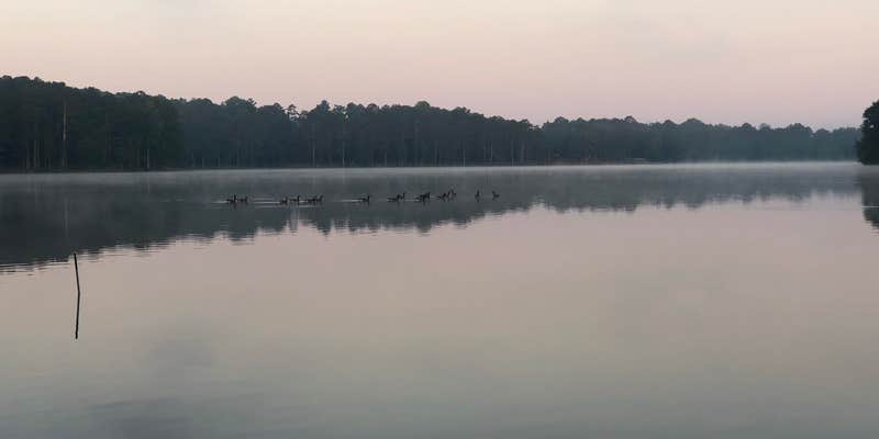 Camper submitted image from Dekalb County Public Lake