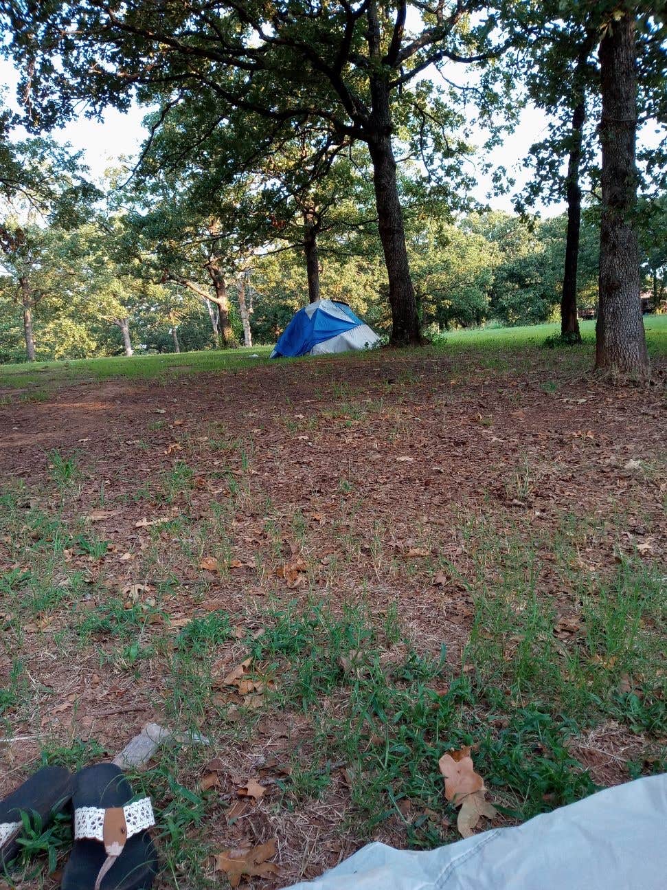 Danielle C.'s photo at Bell Cow Lake Campground C near Prague, OK