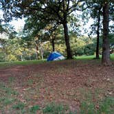 Review photo of Bell Cow Lake Campground C by Danielle C., August 16, 2020