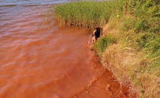 Danielle C.'s photo of camping with pets at Bell Cow Lake Campground C near Oklahoma City, OK