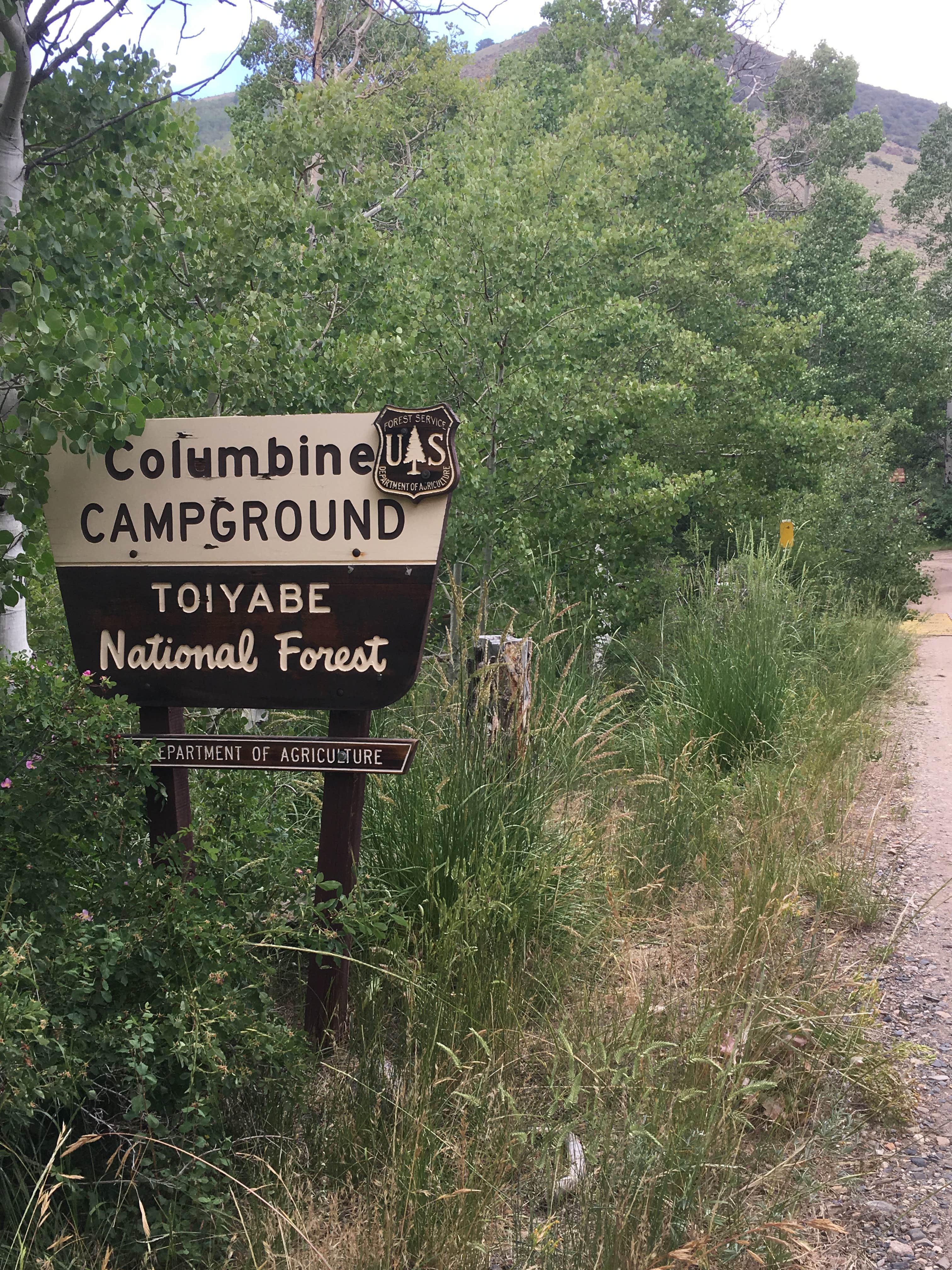 Signs & Maps