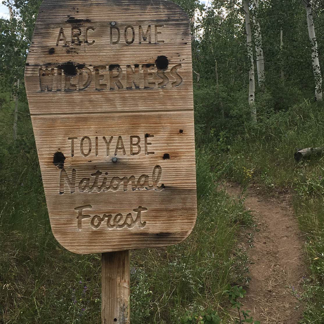 Columbine Camping Nye, NV