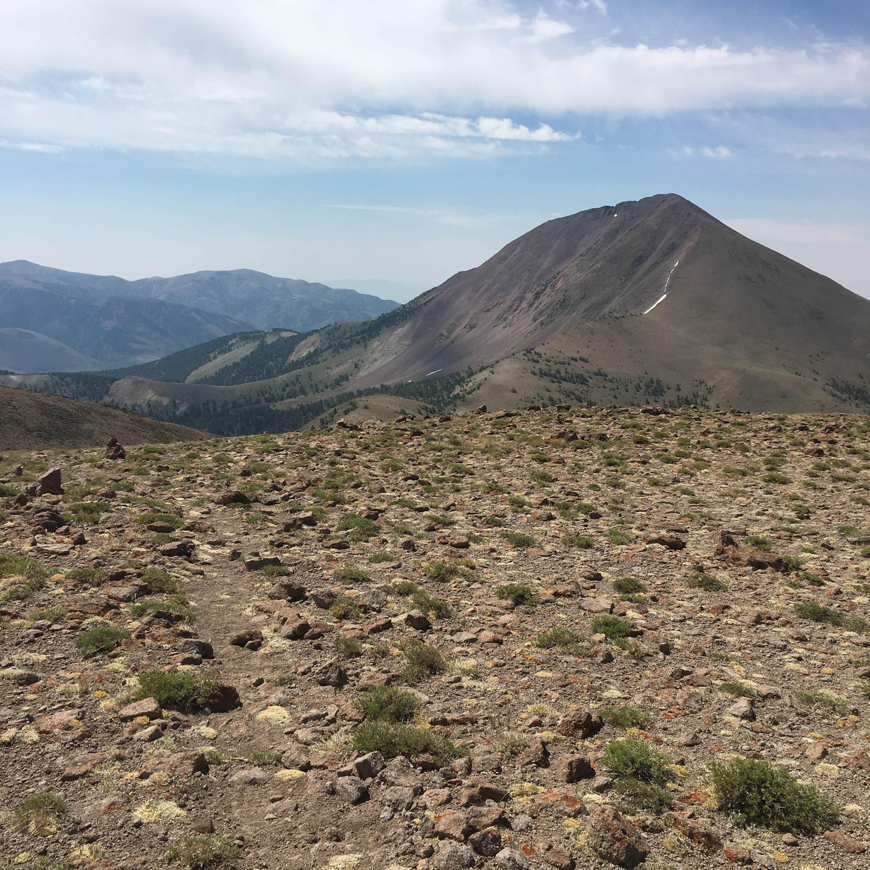 Nevada's Hidden Gem: Columbine Campground – A Nature Lover's Paradise