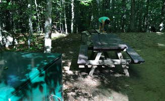 Lena L.'s photo at Limekiln Lake Campground near Eagle Bay, NY