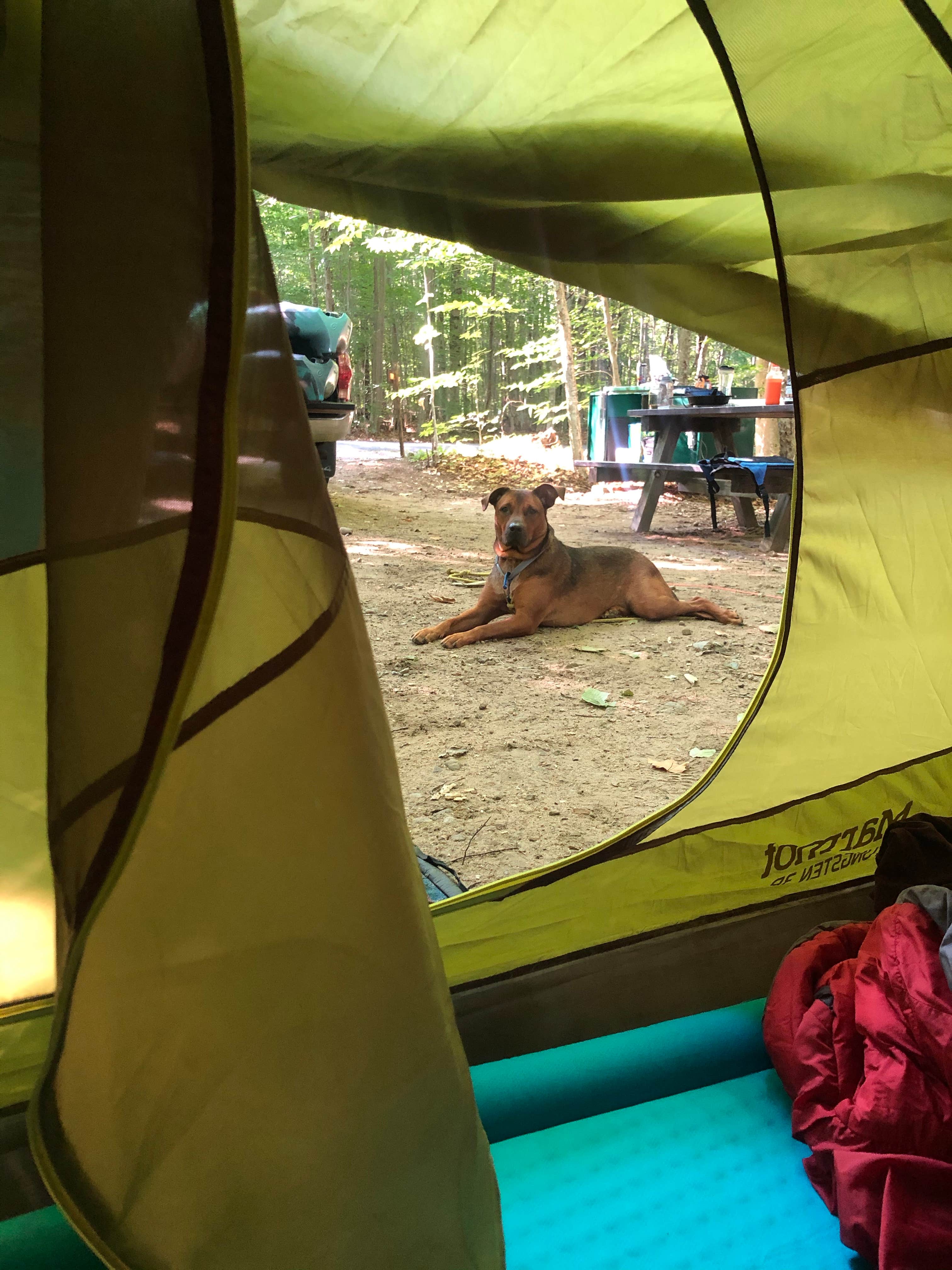 Lena L.'s photo at Limekiln Lake Campground near Woodgate, NY