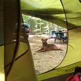 Review photo of Limekiln Lake Campground by Lena L., August 16, 2020
