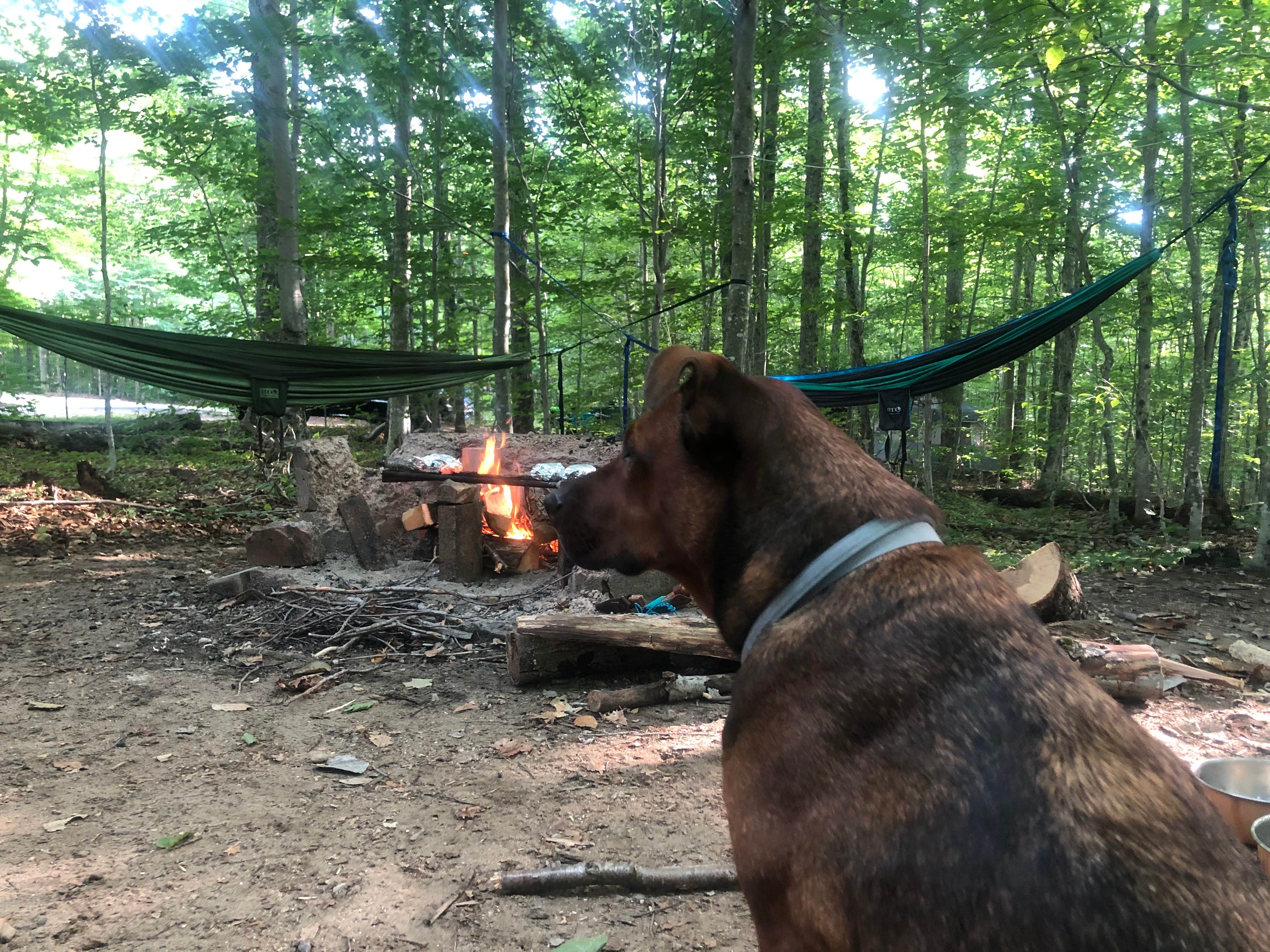 Lena L.'s photo at Limekiln Lake Campground near Old Forge, NY