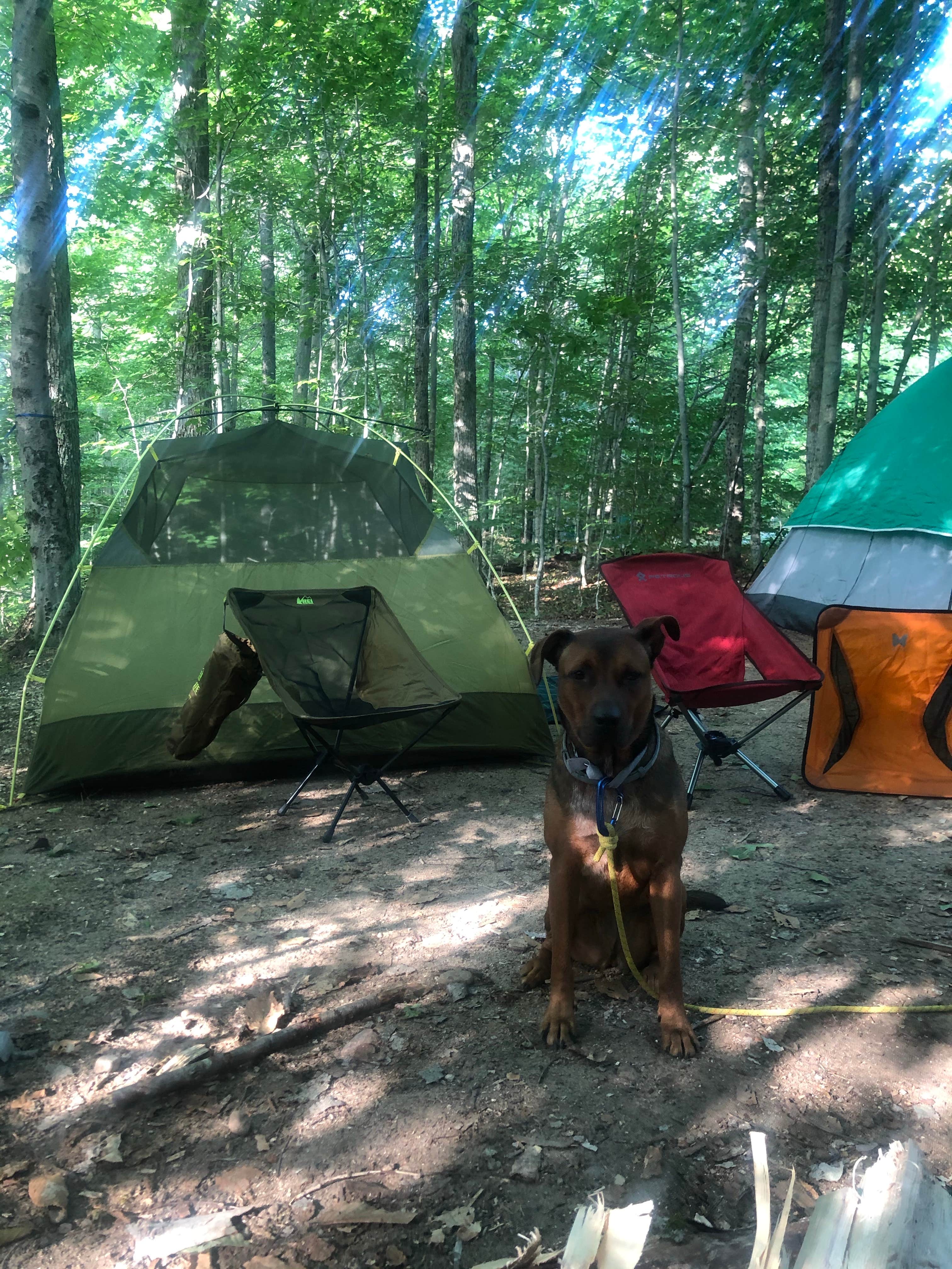 Lena L.'s photo at Limekiln Lake Campground near Brantingham, NY