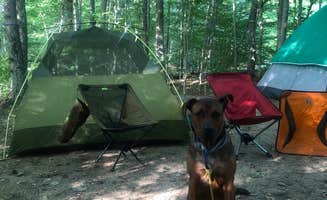 Lena L.'s photo at Limekiln Lake Campground near Brantingham, NY