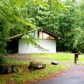 Review photo of Davidson River Campground by Katrin M., August 16, 2020