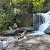 Review photo of Davidson River Campground by Katrin M., August 16, 2020