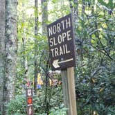 Review photo of Davidson River Campground by Katrin M., August 16, 2020