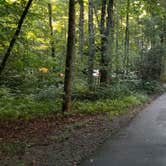 Review photo of Davidson River Campground by Katrin M., August 16, 2020