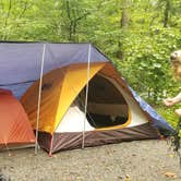 Review photo of Davidson River Campground by Katrin M., August 16, 2020