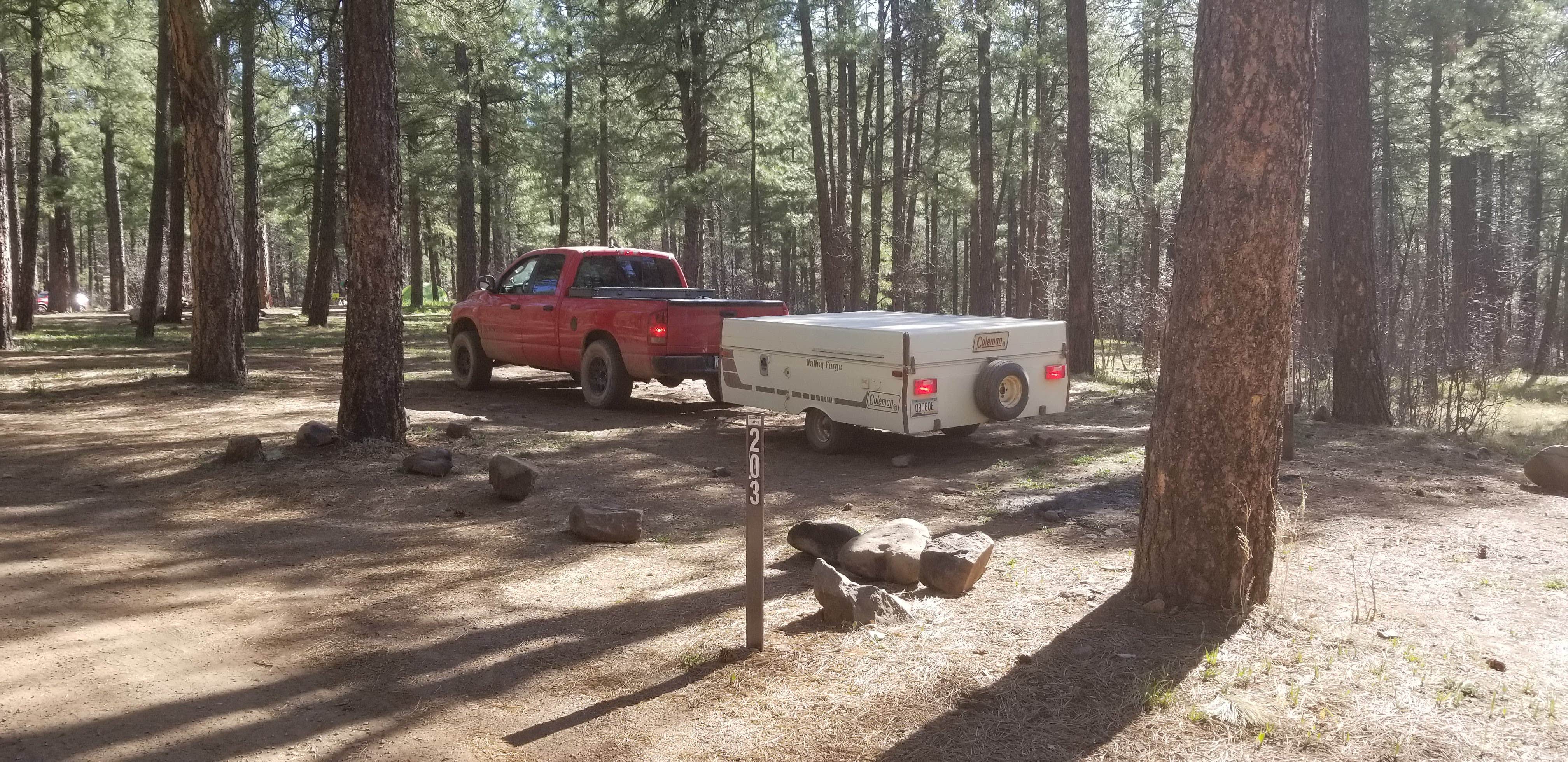 Camper submitted image from Pumphouse Wash (FR 237) Dispersed Camping Area - 2