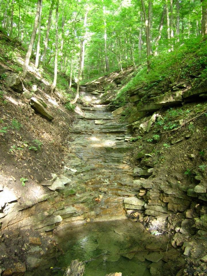 Camper submitted image from Wyalusing State Park Campground - 3