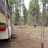Review photo of Pumphouse Wash (FR 237) Dispersed Camping Area by Krista Z., April 30, 2018