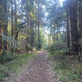 Review photo of Elk Prairie Campground — Prairie Creek Redwoods State Park by Jason K., August 16, 2020