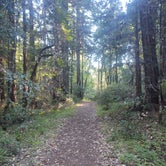 Review photo of Portola Redwoods State Park Campground by Jason K., August 16, 2020