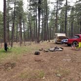 Review photo of Pumphouse Wash (FR 237) Dispersed Camping Area by Krista Z., April 30, 2018