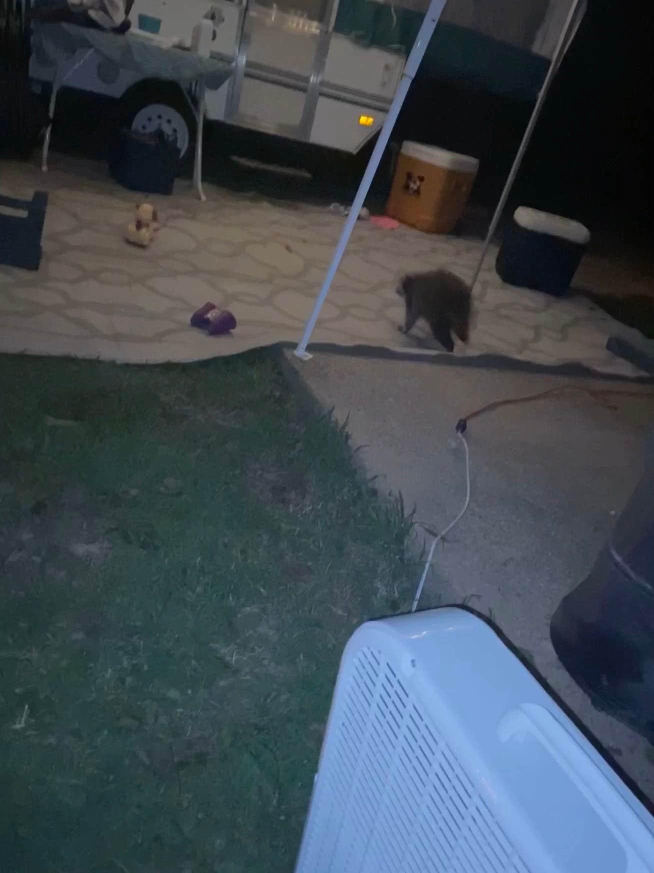 Jon L.'s photo of camping with pets at Meramec State Park Campground near Stanton, MO