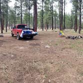 Review photo of Pumphouse Wash (FR 237) Dispersed Camping Area by Krista Z., April 30, 2018