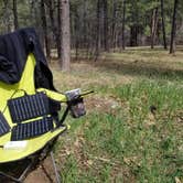 Review photo of Pumphouse Wash (FR 237) Dispersed Camping Area by Krista Z., April 30, 2018