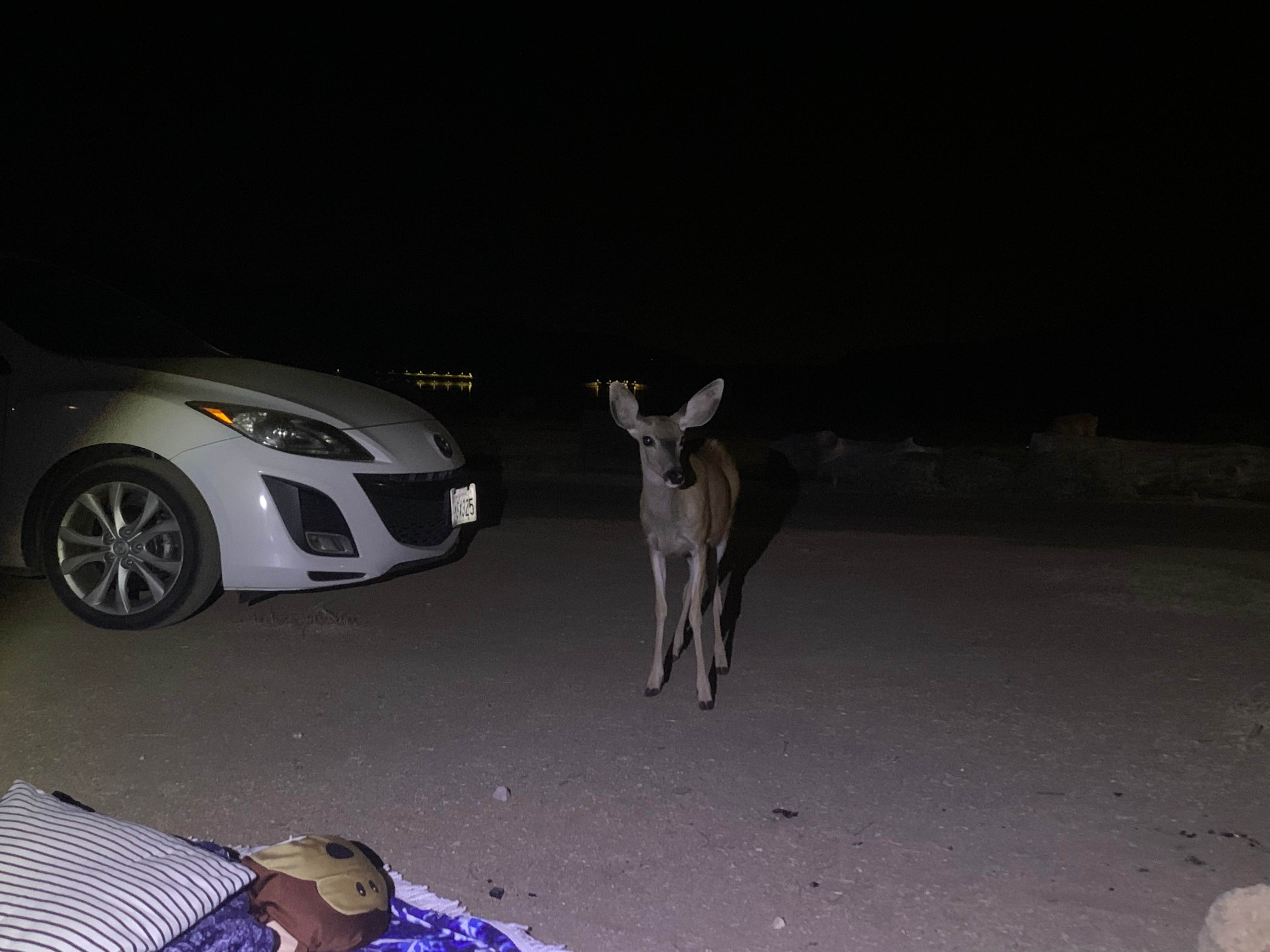 Camper-submitted photo at Lake Tulloch RV Campground and Marina near Jamestown, CA