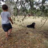 Review photo of Pumphouse Wash (FR 237) Dispersed Camping Area by Krista Z., April 30, 2018