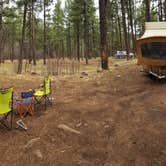 Review photo of Pumphouse Wash (FR 237) Dispersed Camping Area by Krista Z., April 30, 2018
