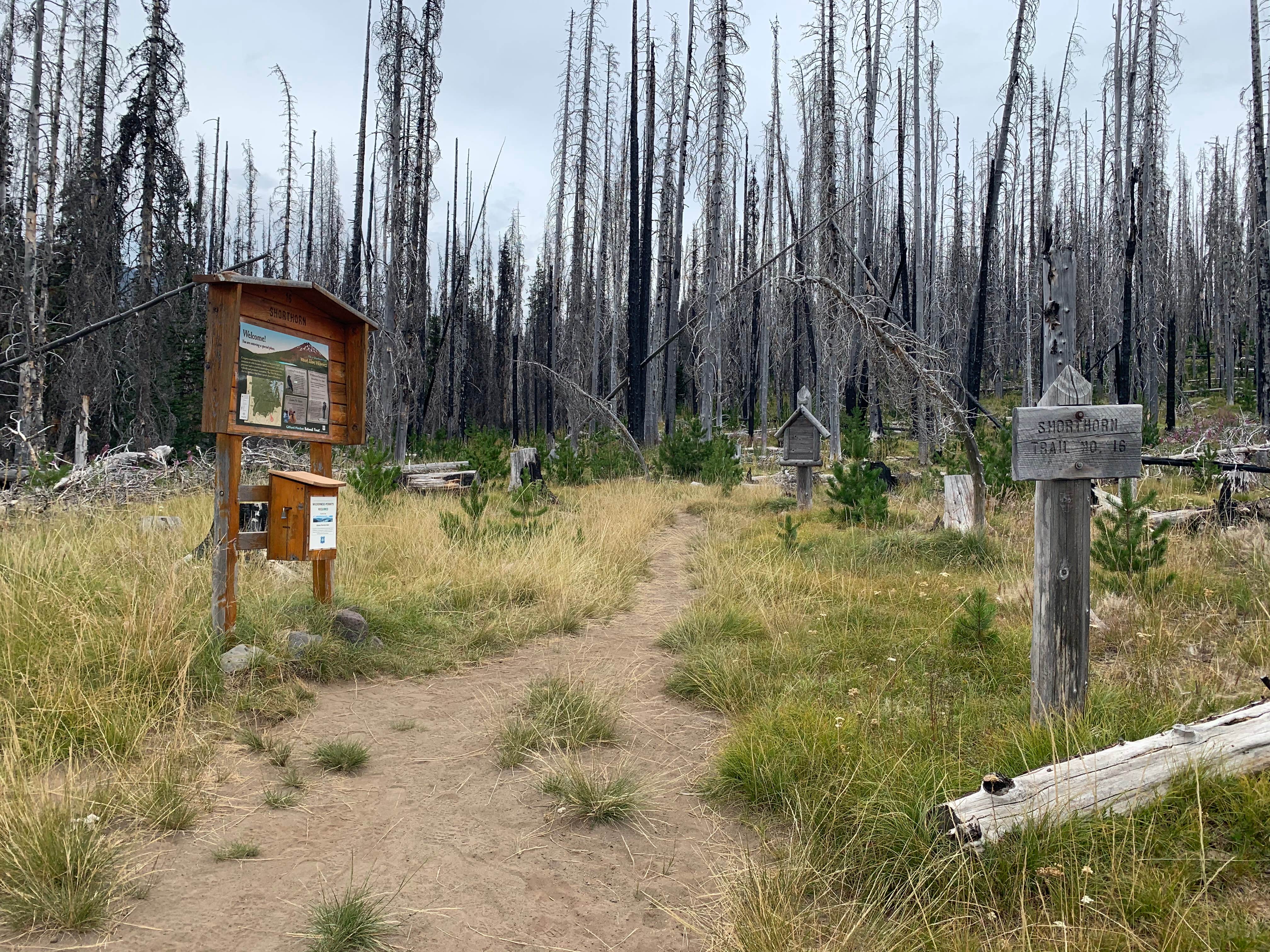 Morrison Creek The Dyrt